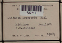 Image Associated With the Occurence